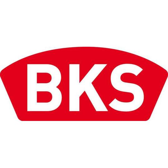 BKS Panik-Treibriegelschloss 65mm | Stulp 24M | Hochwertige Sicherheitstechnik